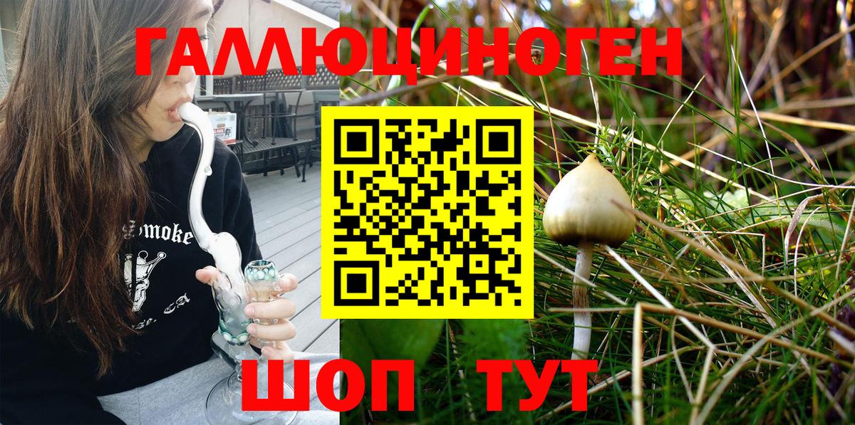 Галлюциногенные грибы Cubensis Верхняя Пышма
